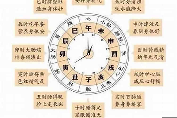 十二时辰和十二生肖的关系