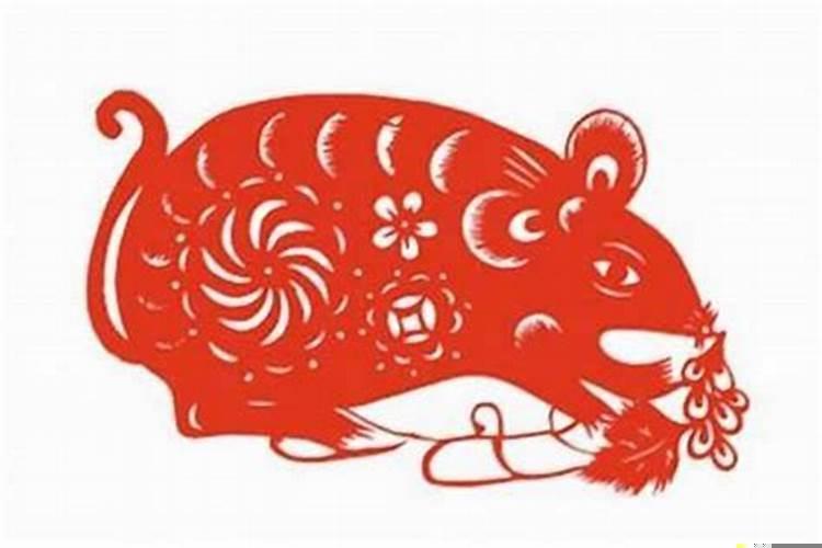 属鼠的最佳婚配属相和忌讳