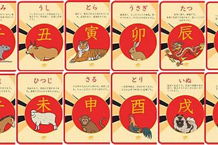 1978年年支