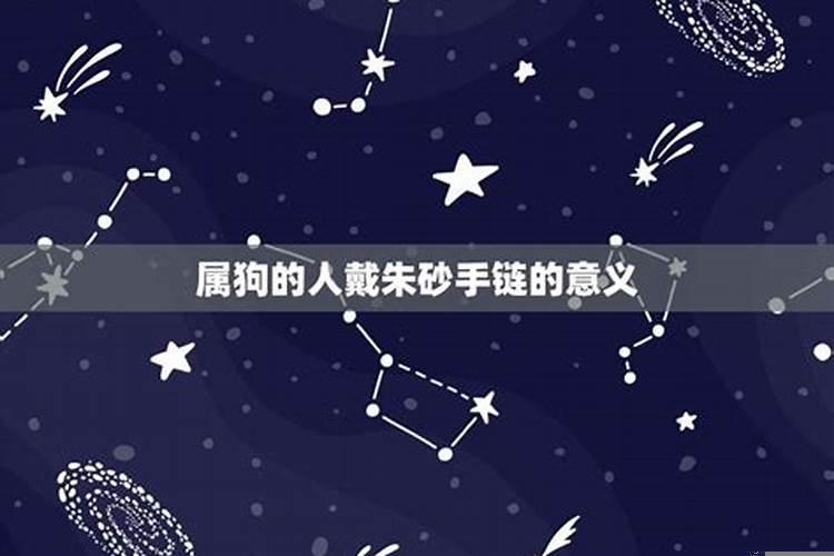 属狗的戴项链好吗