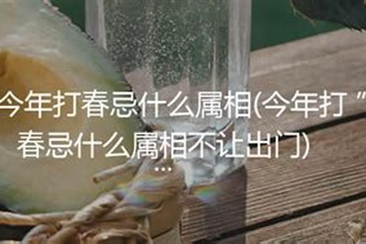 立春那些属相不能出门