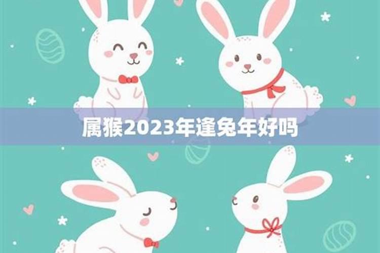 猴人与兔年好吗?