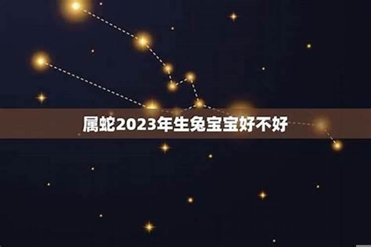 属蛇的女在2021年生宝宝好吗
