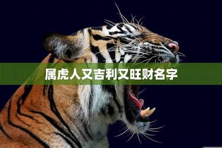 属虎和属虎的财运如何