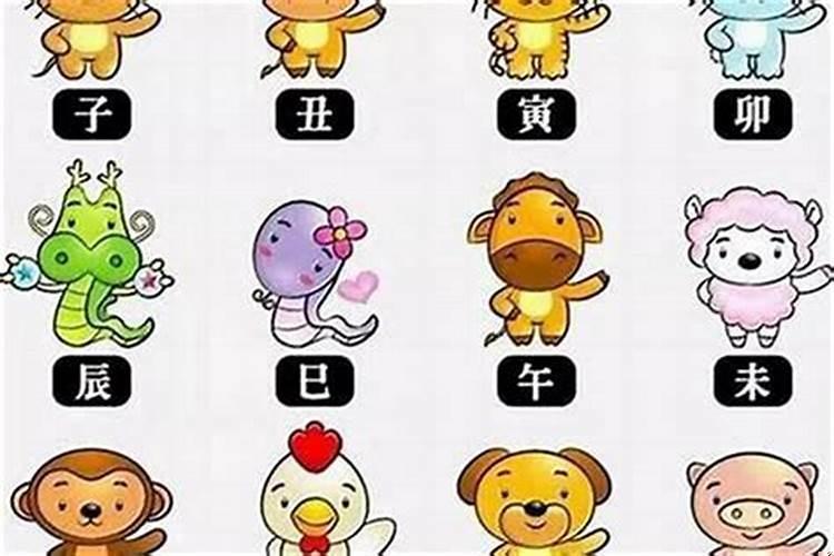 哪些生肖属于南方生肖