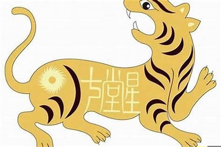 2010属虎的运势