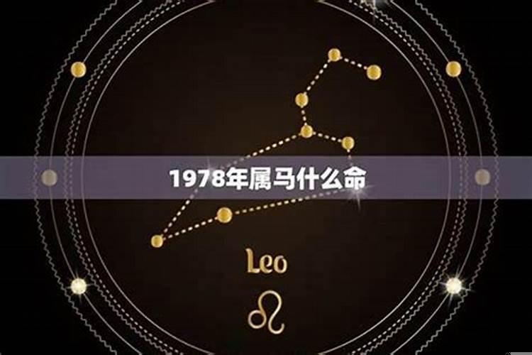 1978年年支