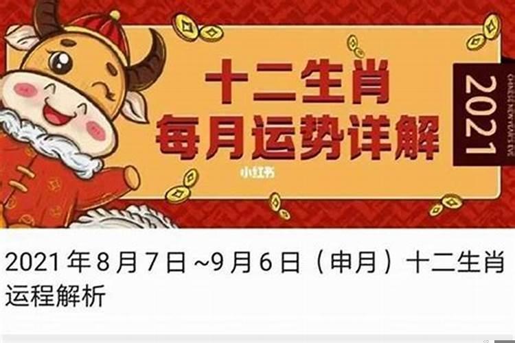2025年几月属什么生肖