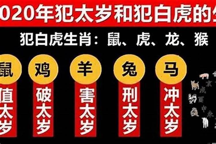 犯太岁2019生肖是什么怎么化解