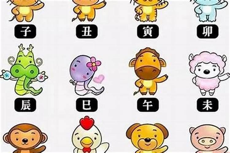 哪些生肖属于南方生肖