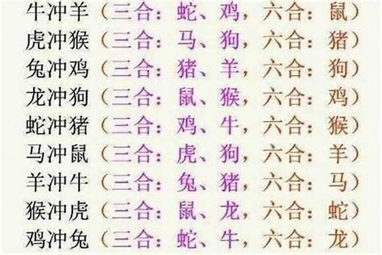 属马的和属蛇的属相合不合