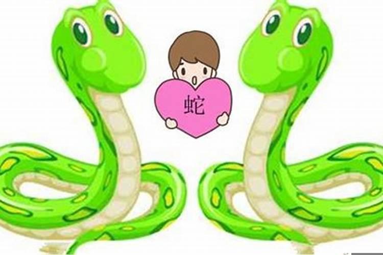 属蛇男和属龙女的婚姻如何