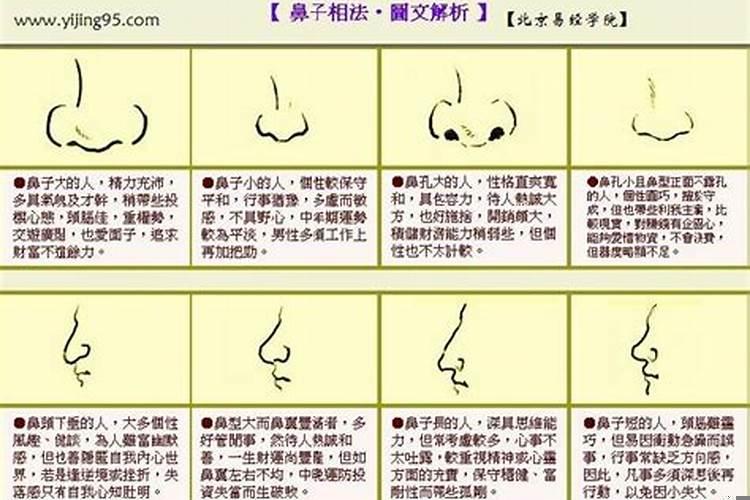鼻子看面相算命运