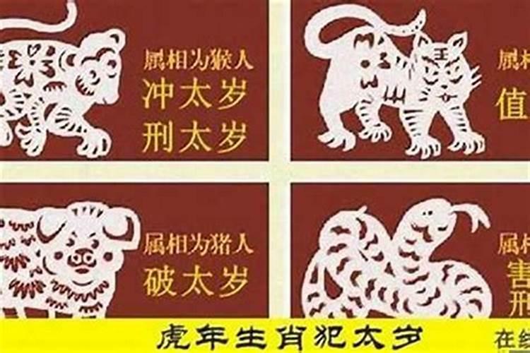 属猪犯太岁佩戴什么生肖首饰