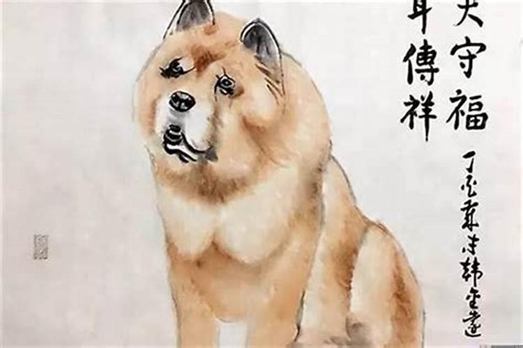 属狗农历九月生人命运