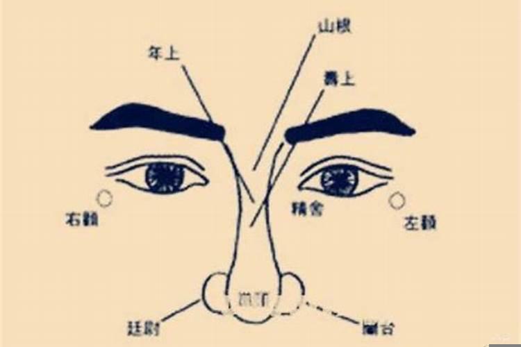 鼻子看面相算命运
