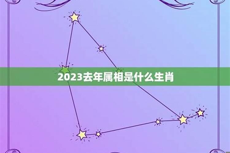 2000年至2020年属相