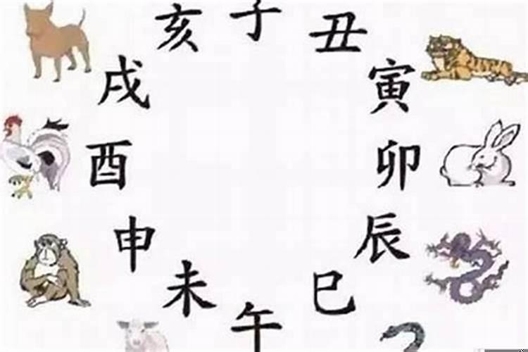 属羊会害属鼠的孩子吗