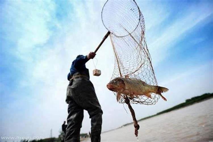 做梦梦到捞鱼什么意思