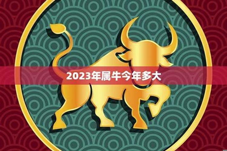 2017年属牛运势