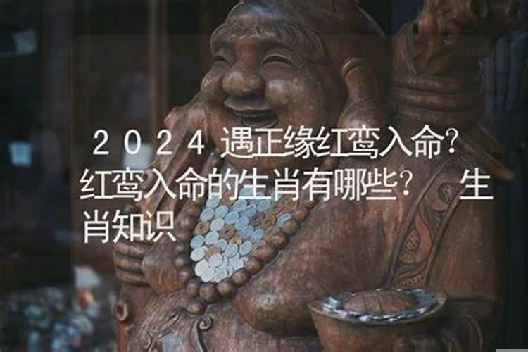 命中红鸾是什么意思