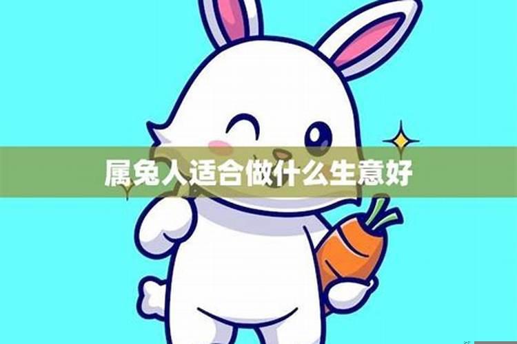 属兔人适合做什么