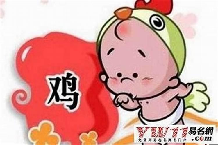 属鸡女和什么属相最配吗