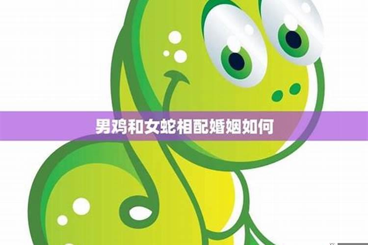 龙男为什么喜欢鸡女