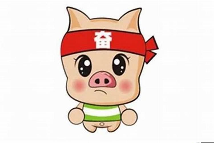 生肖猪佩戴什么吉祥物好