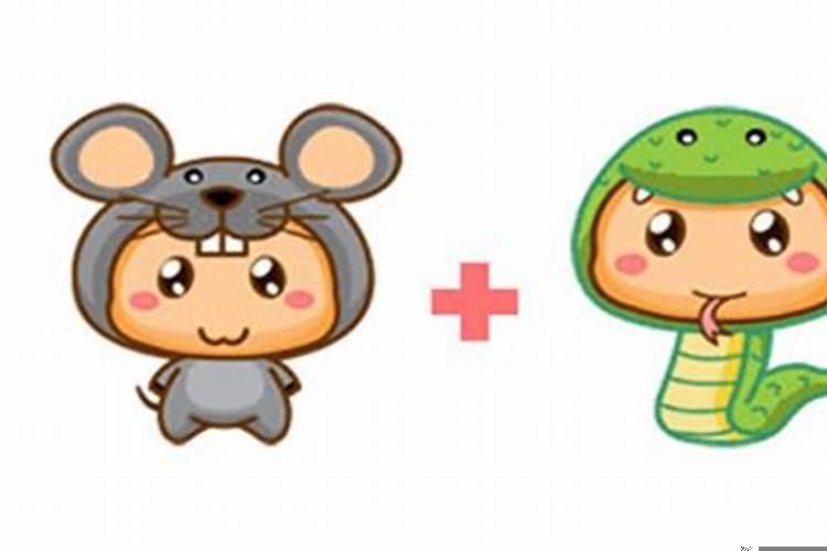 男鼠女蛇般配吗