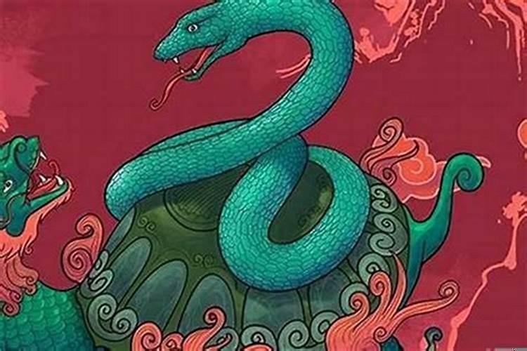 属蛇的做生意和什么属相最配
