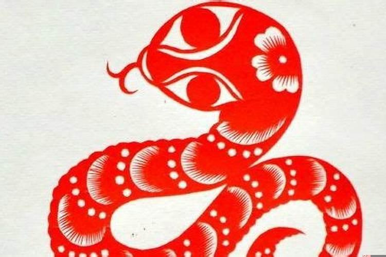 1953年出生是属啥的