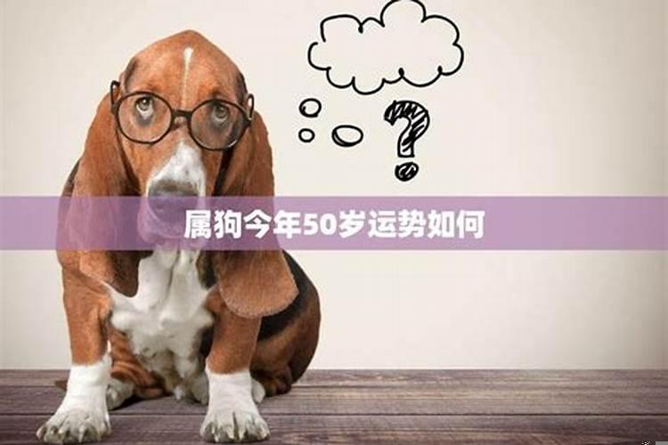 2021年属狗6月份财运怎么样