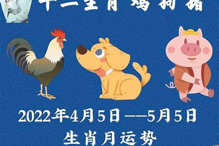 生肖猪5月份运势