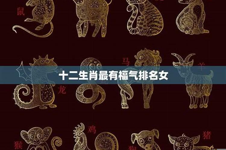 十二生肖最福气的是哪肖