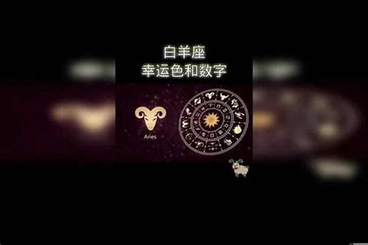 属鼠女用啥颜色的钱包