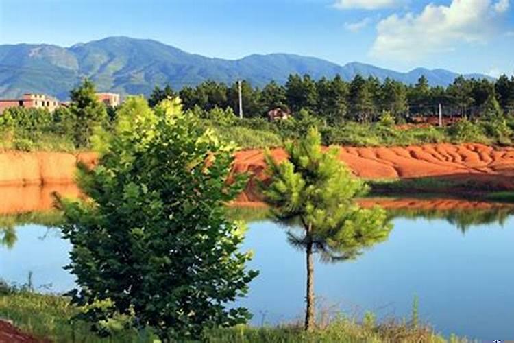 梦见父亲火葬了