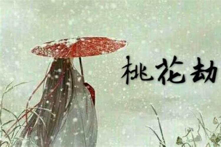犯桃花的梦境