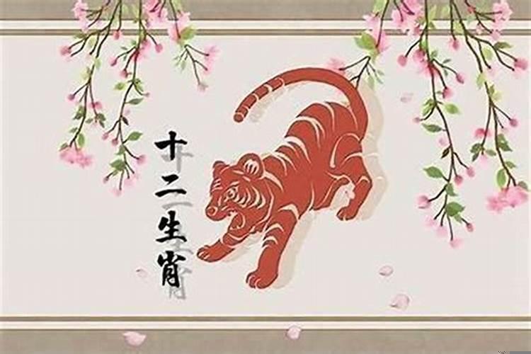 蛇虎结婚了怎么化解