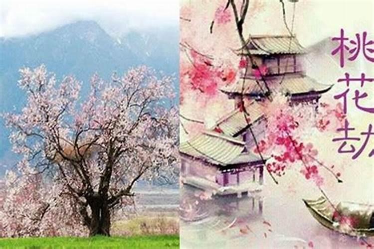 什么叫犯桃花灾