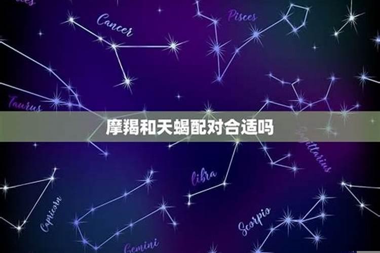 天蝎座和摩羯座配嘛