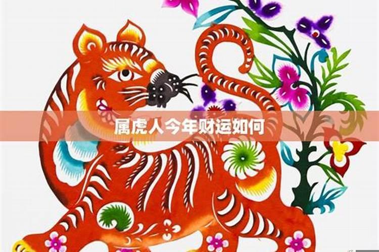 生肖属虎的人财运如何