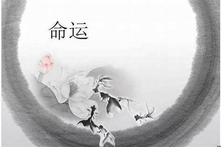 人生来命运都是注定的吗