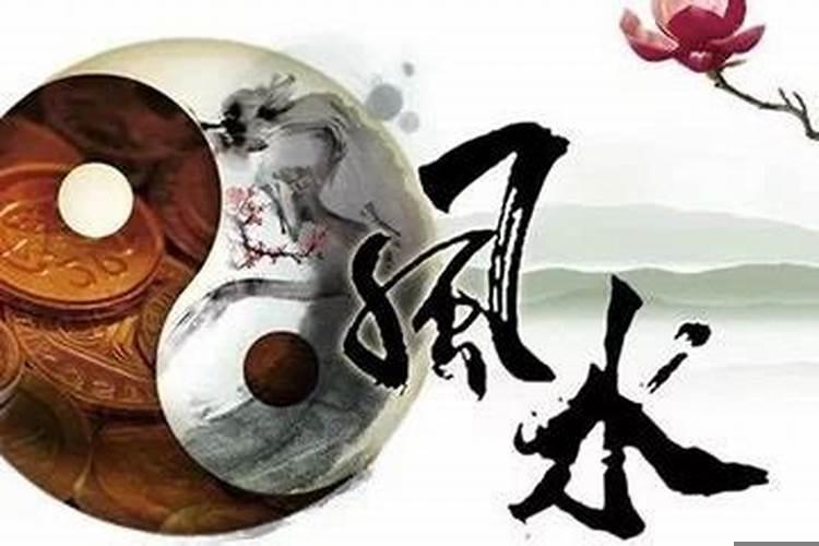 风水先生杀师日