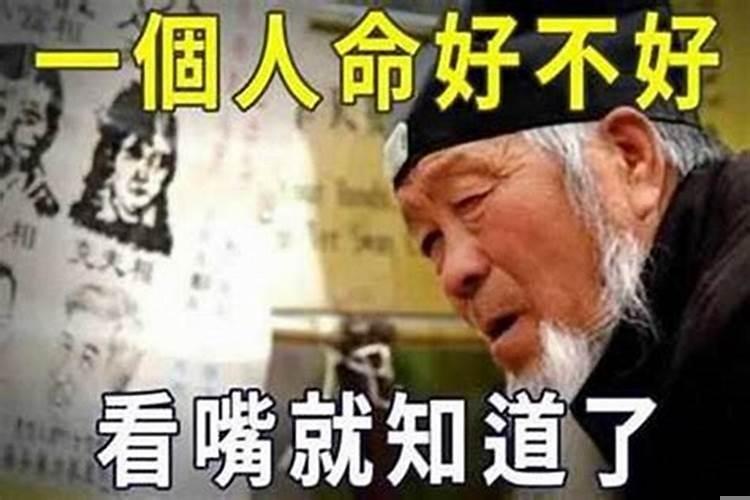 帮我算一下命呗