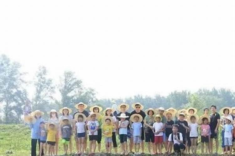 孕妇梦见捉虾是什么意思