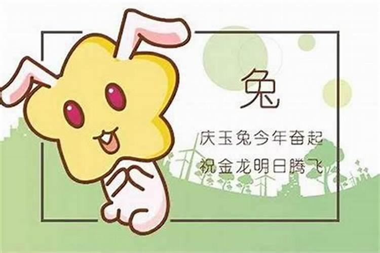 属兔的今年多大了