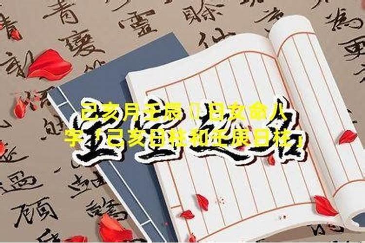 己亥月己亥日出生