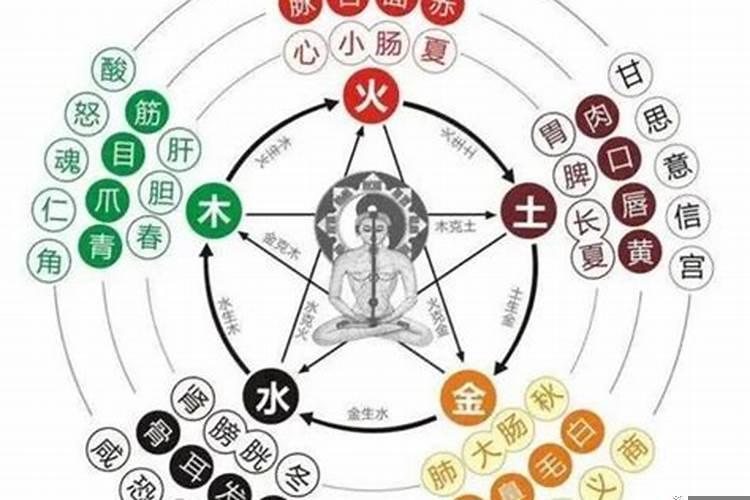 八字本气中气余气详解