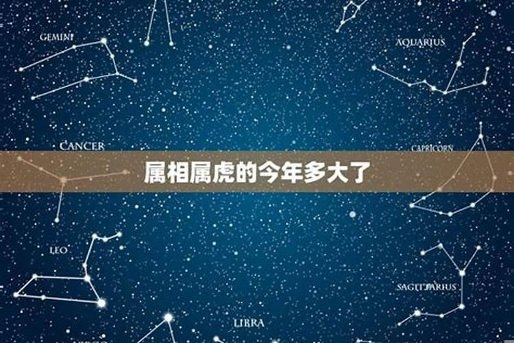 狮子座今年多大了2020属什么